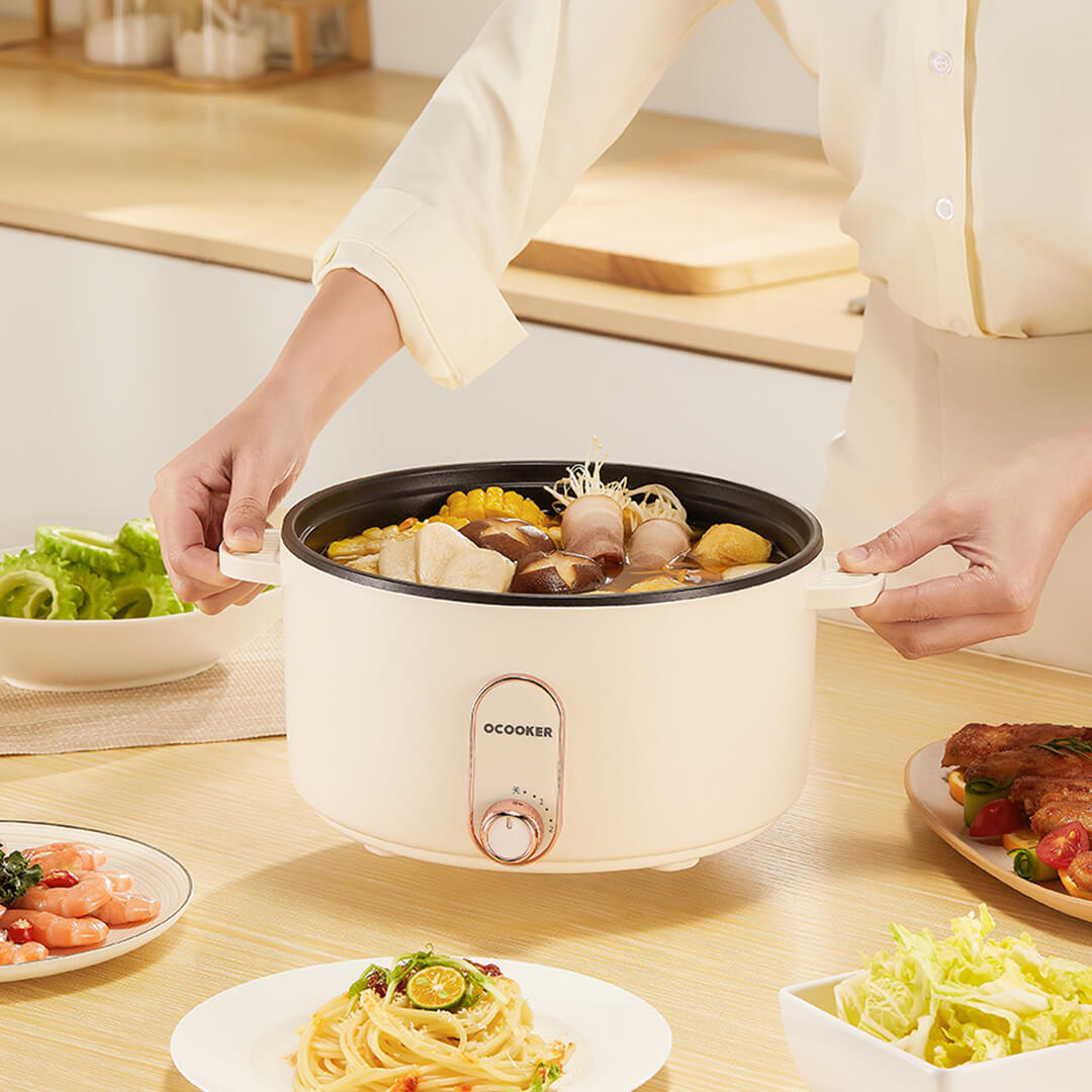 1000W Fast heat electric hot pot multifunctional household cooking noodles  electric hot pot electric cookin
